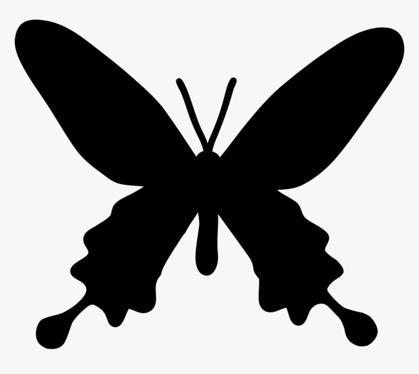 Butterfly Silhouette Png, Transparent Png, Free Download