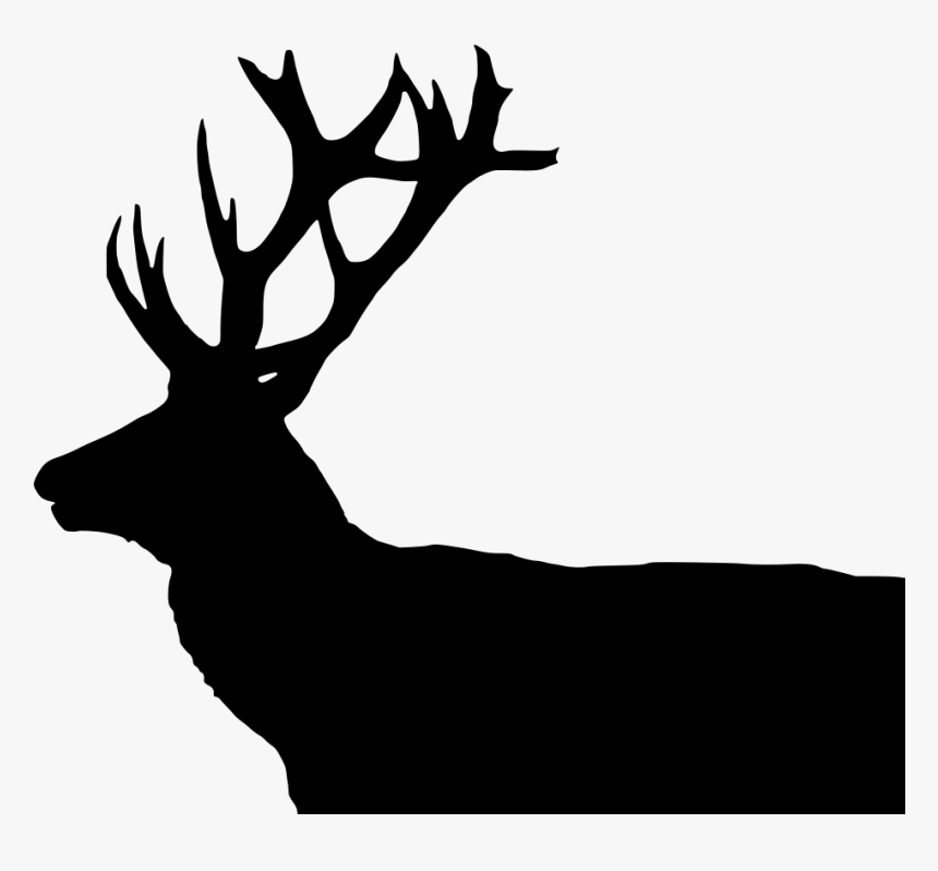 Antler Png, Transparent Png, Free Download