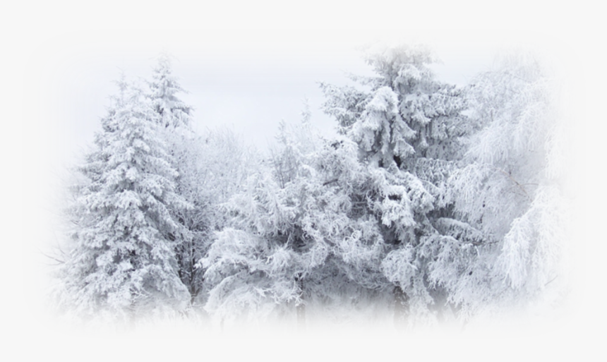 Winter Snow Desktop Wallpaper Cold Hd Png Download Kindpng