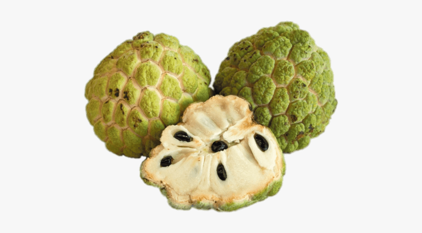 Fresh Sugar Apple, HD Png Download, Free Download