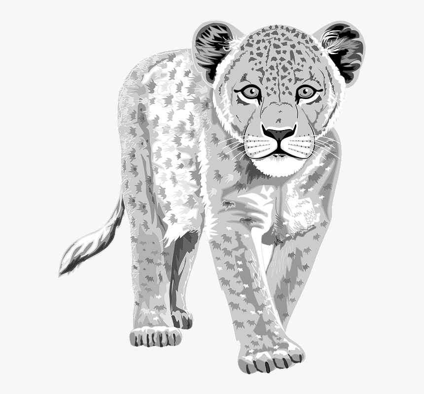 Free Free 291 Snow Leopard Svg SVG PNG EPS DXF File