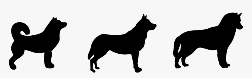 Husky, Dog, Silhouette, Black - Dog, HD Png Download, Free Download