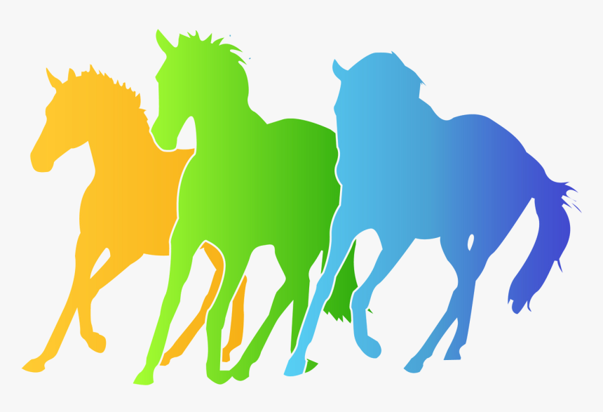 Equestrian Lifestyle Solutions - Stampede Clipart, HD Png Download, Free Download