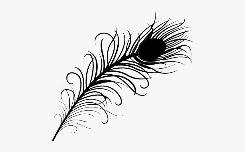 Peacock Feather Clipart Png Black And White - Peacock Feather Black And White, Transparent Png, Free Download