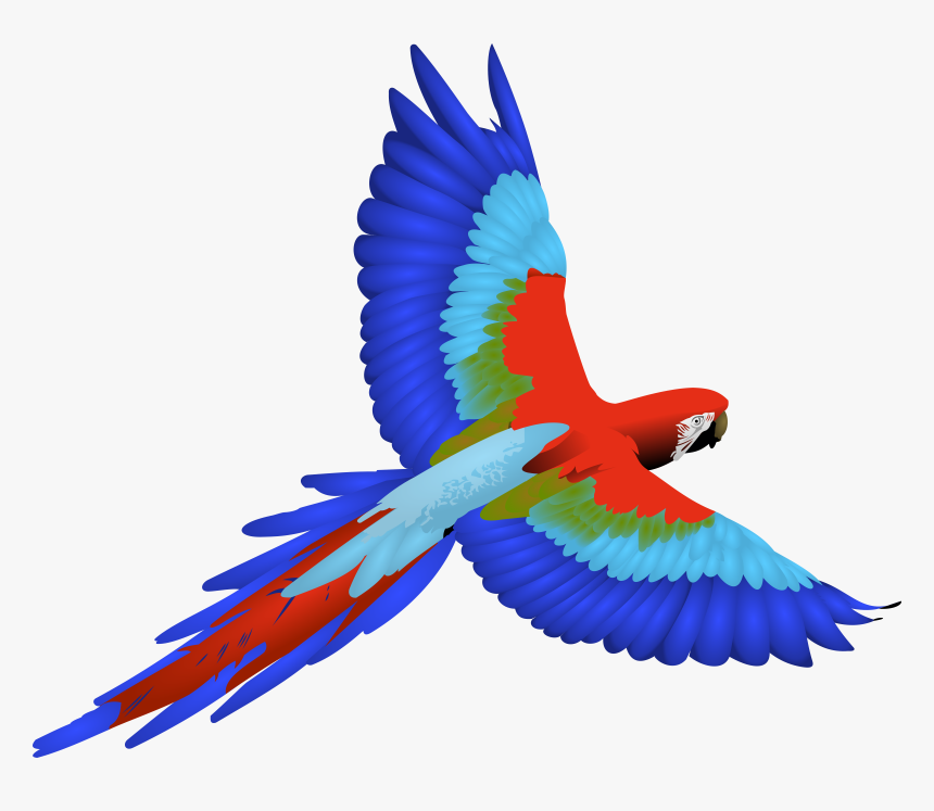 Parrot Flying Clipart, HD Png Download, Free Download
