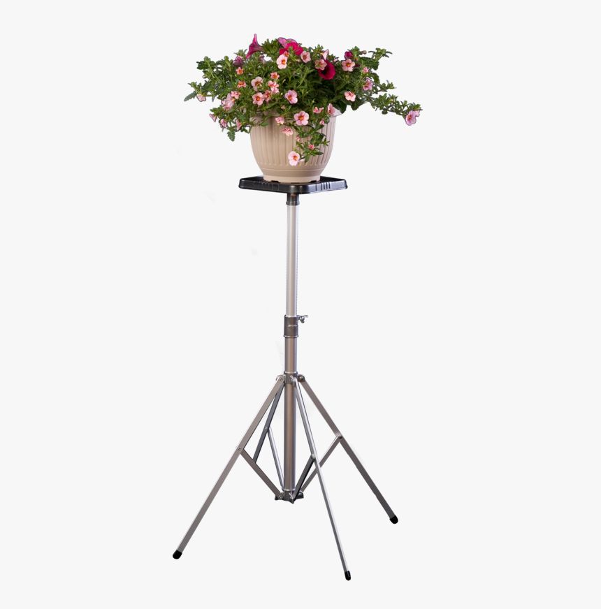 Free Stand Flower Bouquet, HD Png Download, Free Download