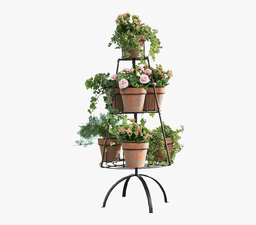 Transparent Flower Stand Png, Png Download, Free Download