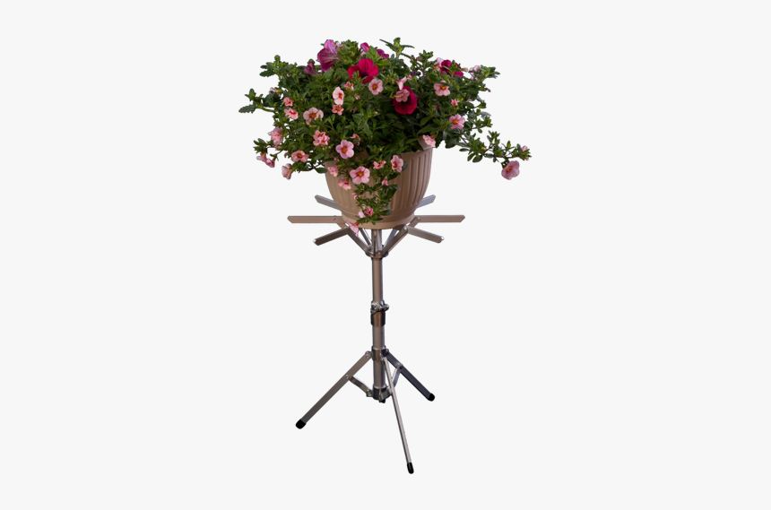 Clipart Flower Stand Png, Transparent Png, Free Download