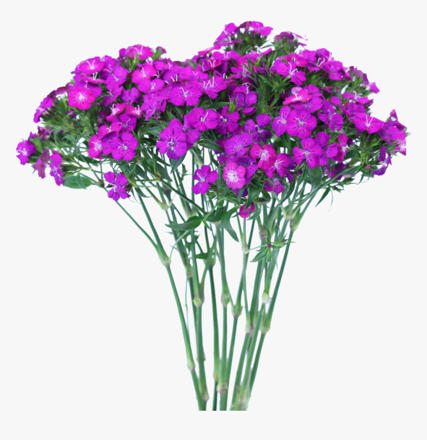 Flower Stand Png, Transparent Png, Free Download