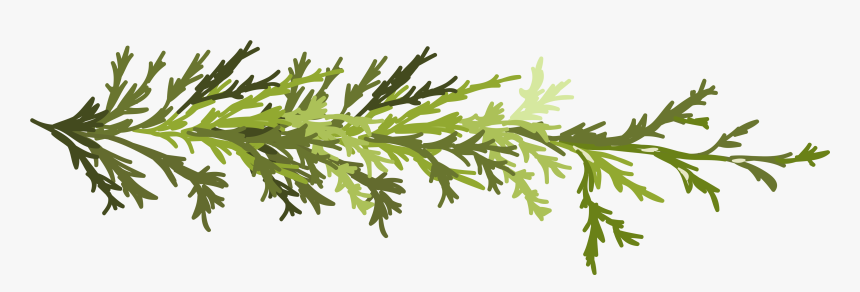 Transparent Twig Png - Twig Clipart Transparent, Png Download, Free Download