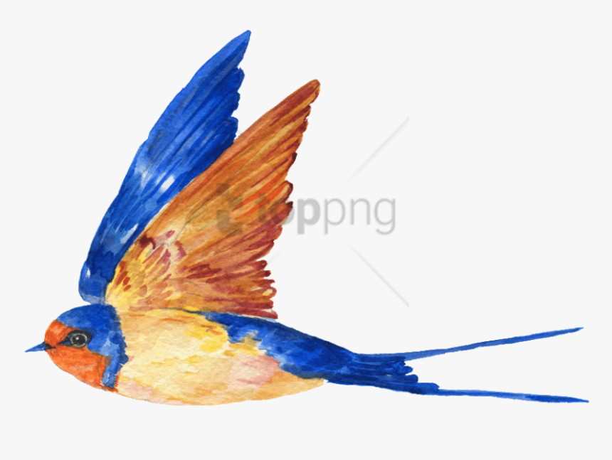 Free Png Download Transparent Blue Bird Png Images - Birds Transparent Background Fly, Png Download, Free Download