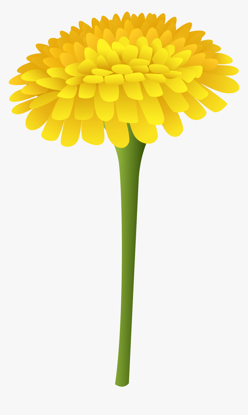 Transparent Wildflower Png - Dandelion Clipart Png, Png Download, Free Download