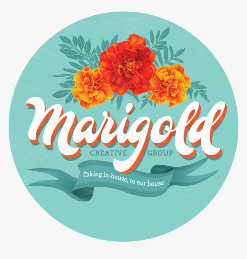 Marigold Png, Transparent Png, Free Download