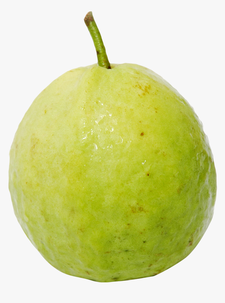 Guava Png, Transparent Png, Free Download