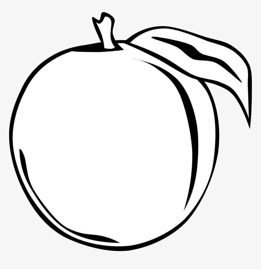 Orange Drawing Black And White - Coloring Page
