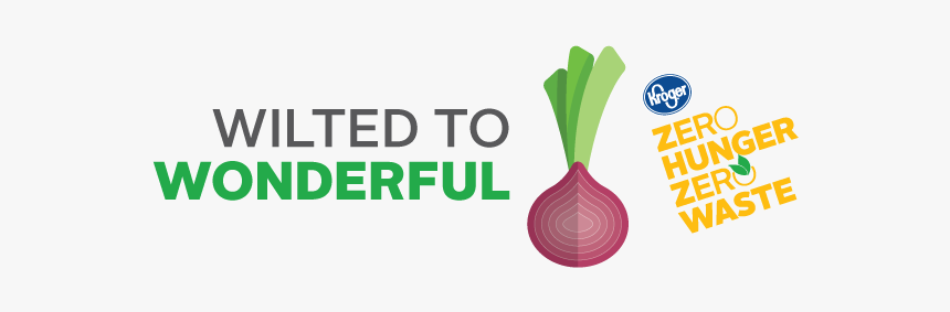 Onion, HD Png Download, Free Download