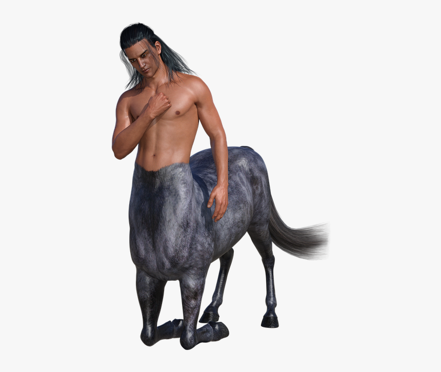 Man, Horse, Mythical Creatures, Body, Figure, Male, - Portable Network Graphics, HD Png Download, Free Download