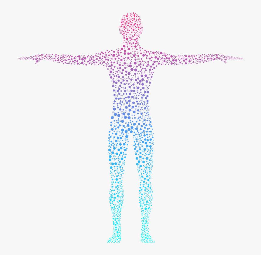 The Human Body - Human Body, HD Png Download, Free Download