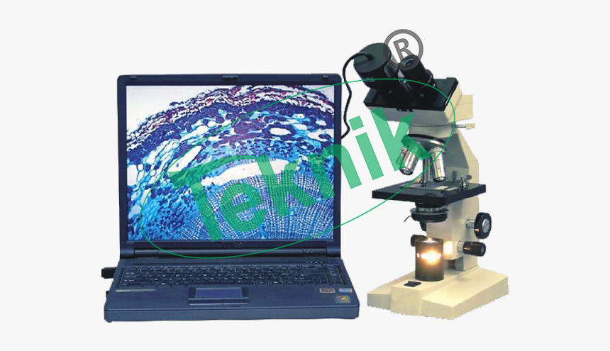 Microscope Equipment - Output Device, HD Png Download, Free Download