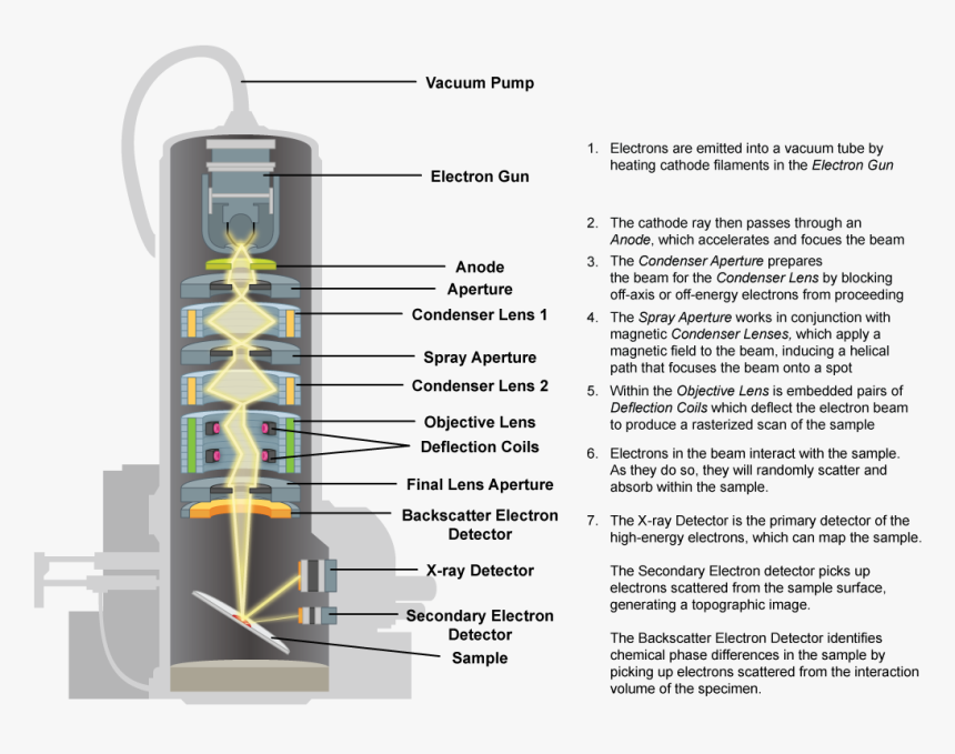 Scanning Electron Microscope - Parts Of Scanning Electron Microscope, HD Png Download, Free Download