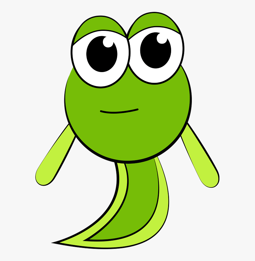 Tadpole, Character Animator Puppet, Puppet, Animal - Kecebong Clipart, HD Png Download, Free Download