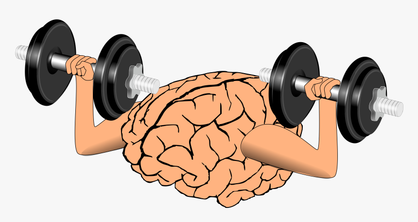 Brain Exercise - Mental Weightlifting, HD Png Download, Free Download