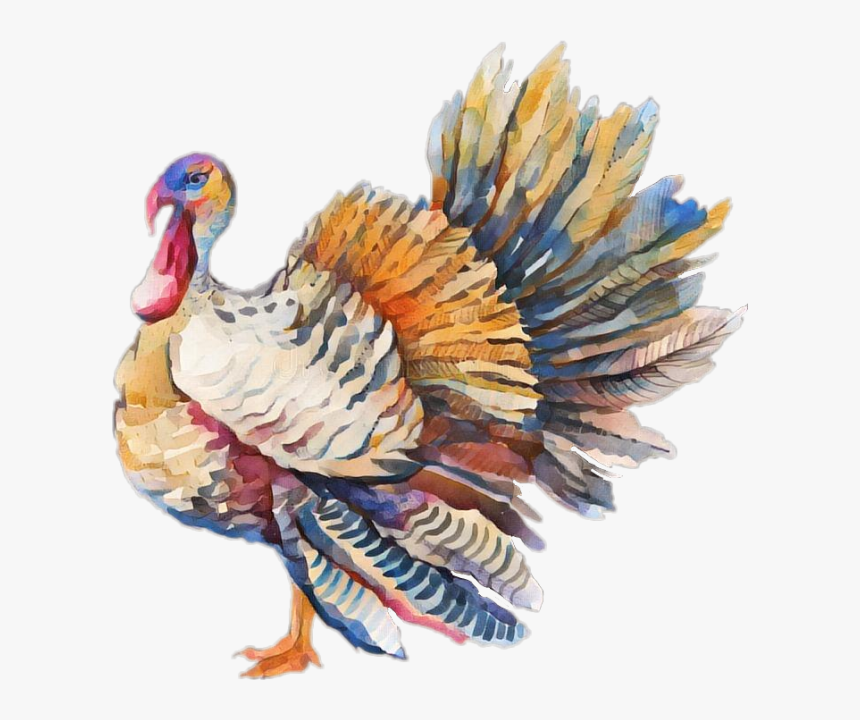 Turkey Thanksgiving, HD Png Download, Free Download