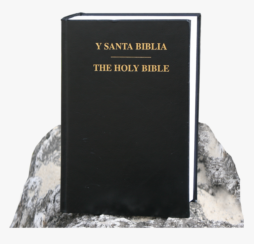 Y Santa Biblia - Igneous Rock, HD Png Download, Free Download