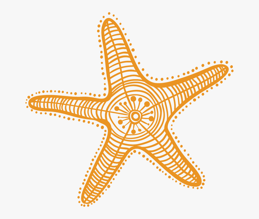 Starfish Drawing Cartoon Clip Art - Starfish Clipart Starfish Draw, HD Png Download, Free Download