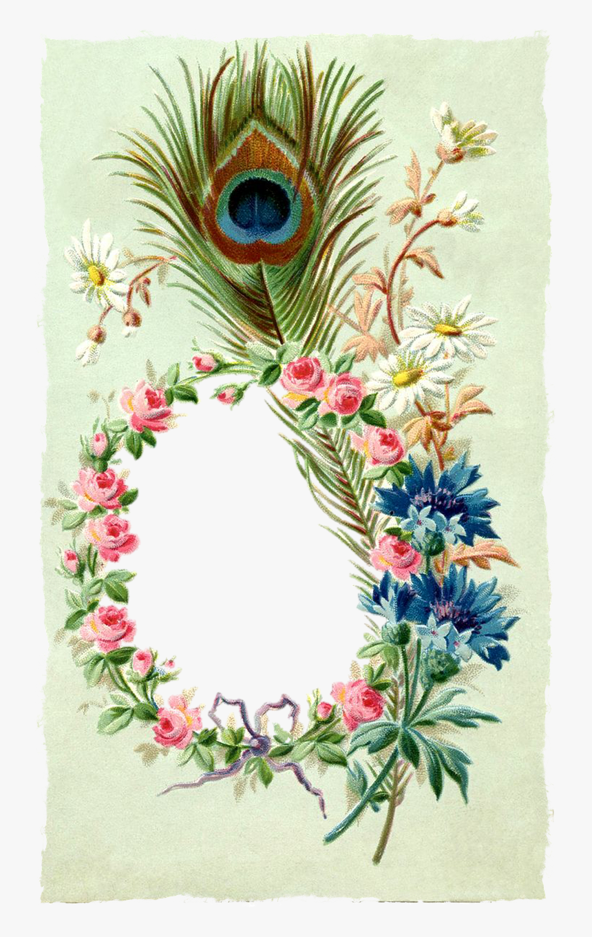 Frame Peacock Feather Border Designs, HD Png Download, Free Download