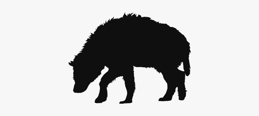 Wolf Drawing Clipart Mascot - American Black Bear, HD Png Download, Free Download