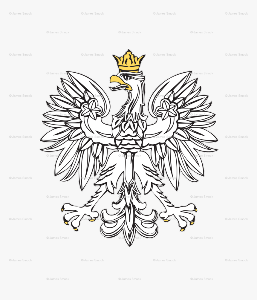 Drawing Eagles Crown - Polish Eagle Png, Transparent Png, Free Download