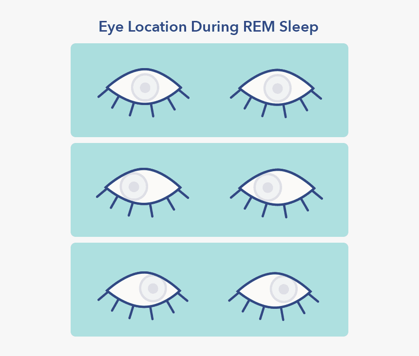 Rem Sleep, HD Png Download, Free Download