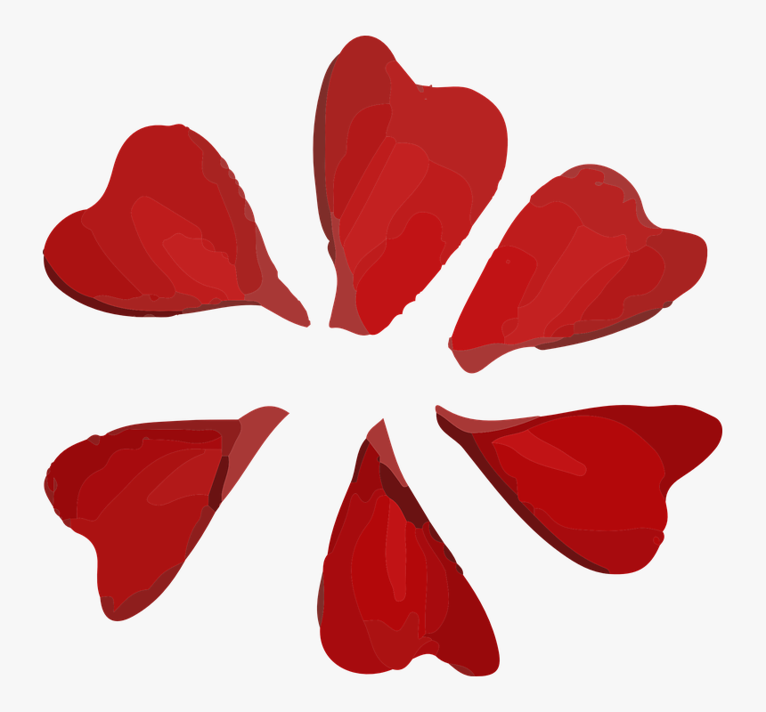 Flower, Petals, Red - Petal Red Png, Transparent Png, Free Download