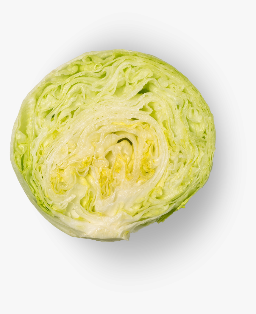 Iceburg Lettuce, HD Png Download, Free Download