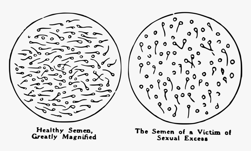 Ssri Before And After, HD Png Download, Free Download