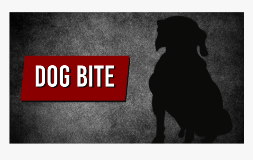 Hunting Dog, HD Png Download, Free Download