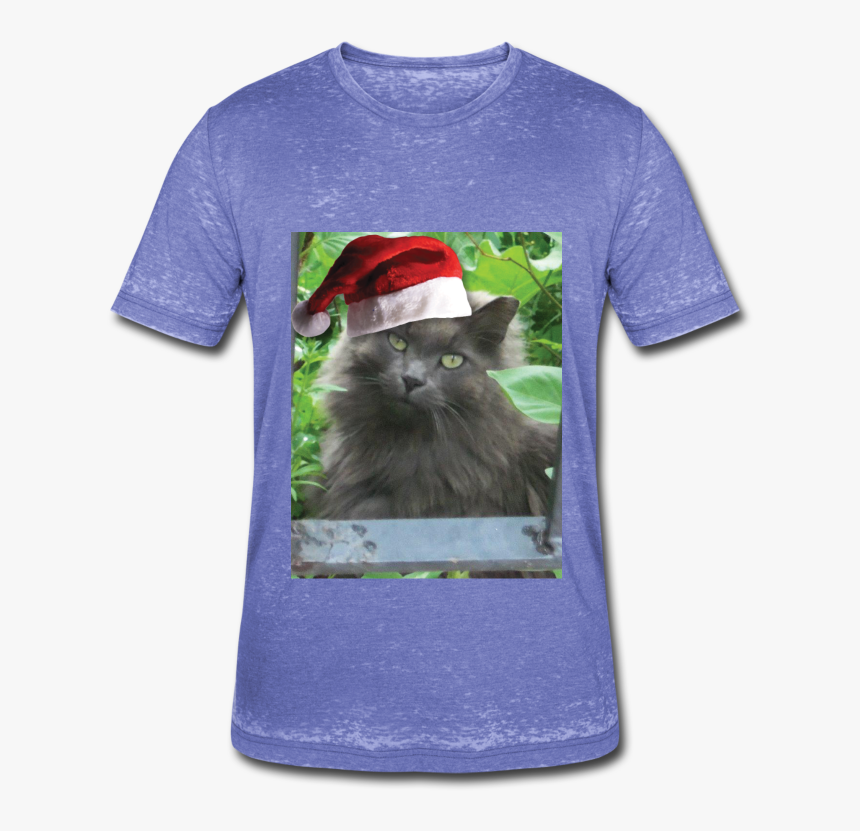 Transparent Russian Hat Png - Blue Long Hair Cat, Png Download, Free Download