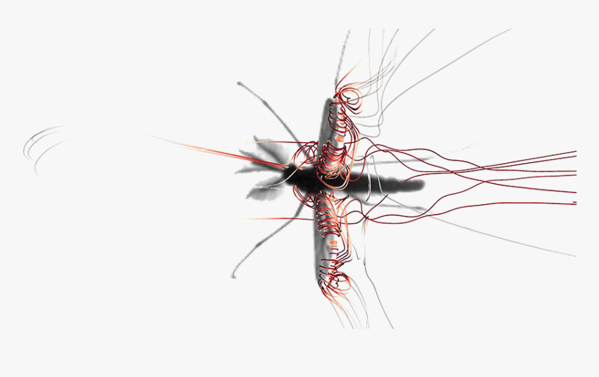 Mosquito Png Image Background - Mosquito Flying, Transparent Png, Free Download