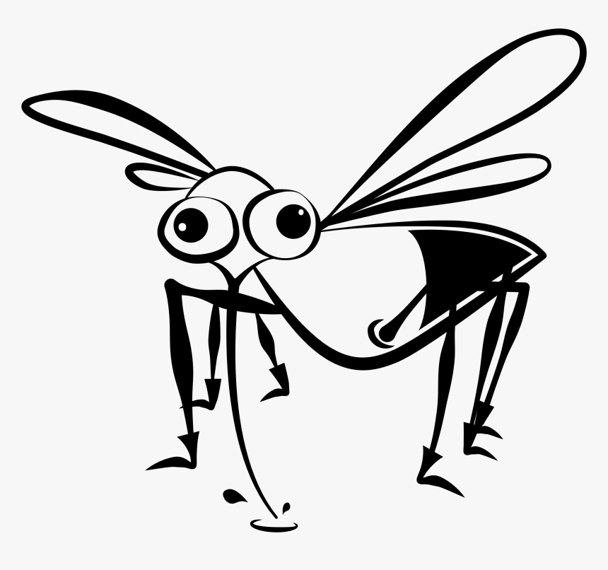 Scottish Midge, HD Png Download, Free Download