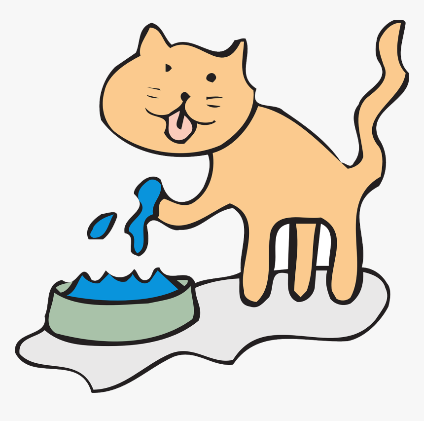 Cat Drinking Water Clipart, HD Png Download, Free Download