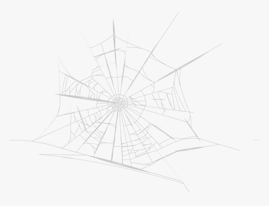 Spider Web, HD Png Download - kindpng