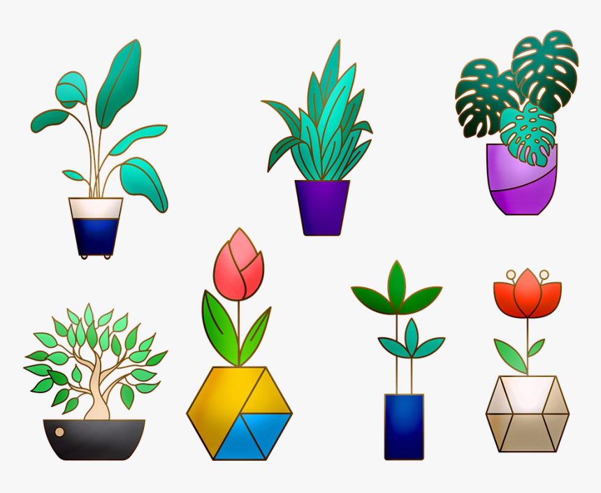 House Plants, Cactus, Flowerpot, Plant, Green, House - Houseplant, HD Png Download, Free Download