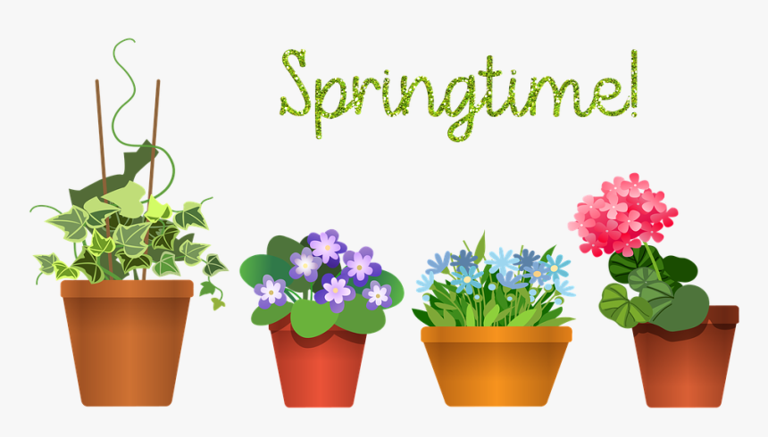 House Plants, Flowerpot, Plant, Green, House, Flower - Flowerpot, HD Png Download, Free Download