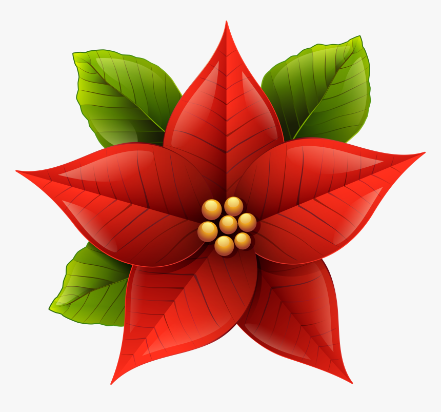 Christmas Poinsettia Png Clip - Poinsettia Clipart, Transparent Png, Free Download
