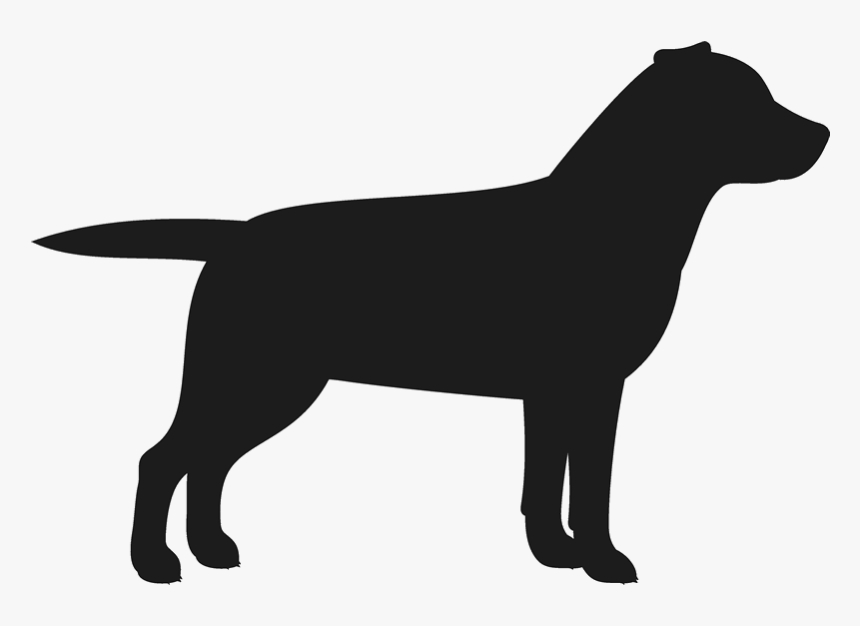 Clip Art Retriever Stamp Dog Cat - 45 Lbs Dog Size, HD Png Download, Free Download