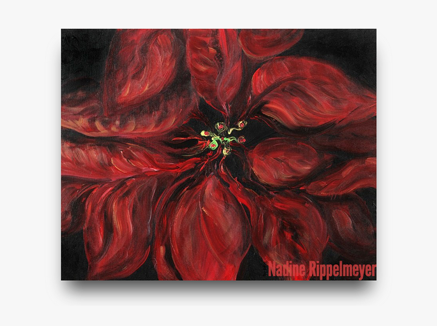 Poinsettia, HD Png Download, Free Download