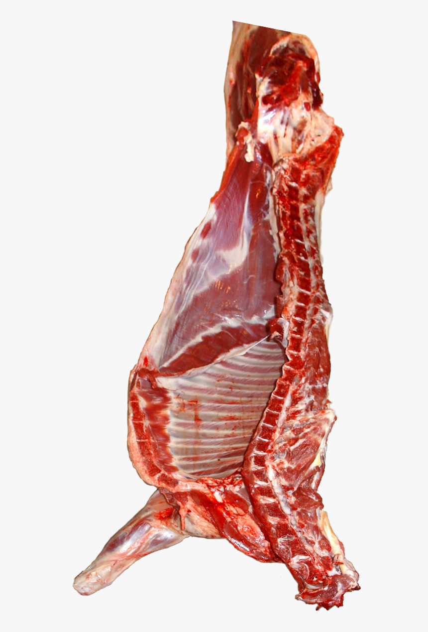 File - Schafhälfte - Mutton Png, Transparent Png, Free Download