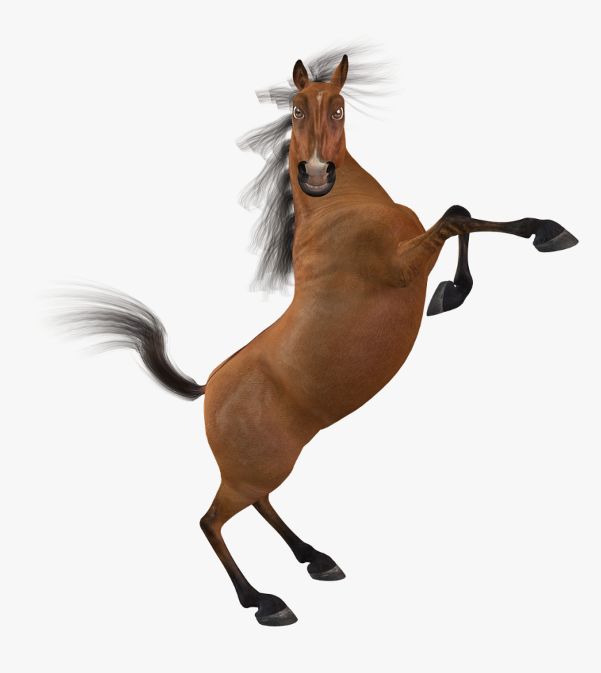 Funny Horse Png, Transparent Png, Free Download