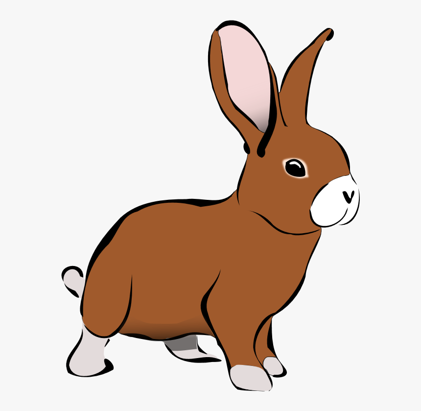 Rabbit Animals Clipart - Rabbit Clipart, HD Png Download, Free Download